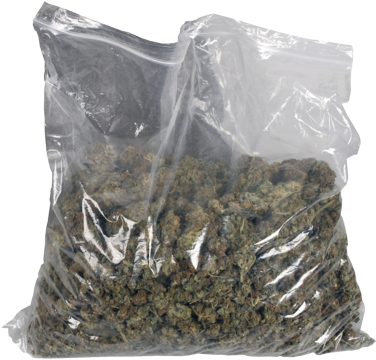 Download Weed Psd Cannabis Png Image With No Background Pngkey Com