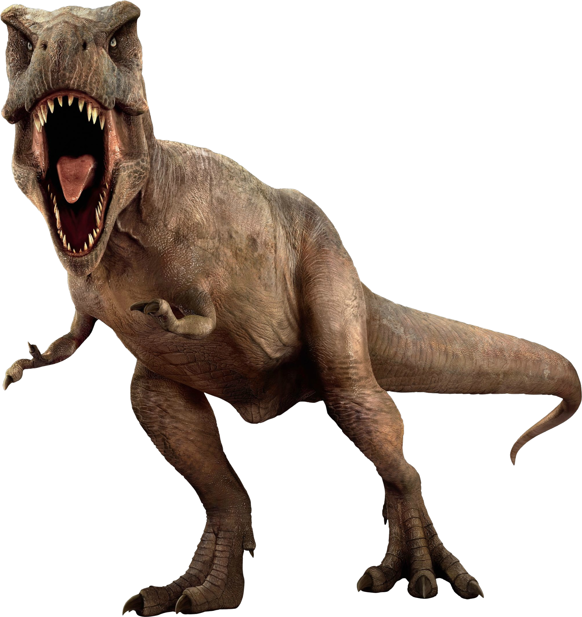 Dinosaur Png (1070x1118), Png Download