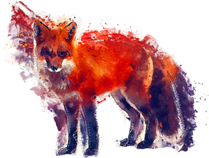 Click And Drag To Re-position The Image, If Desired - Arctic Fox Canvas Print - Small By Jbjart (600x423), Png Download