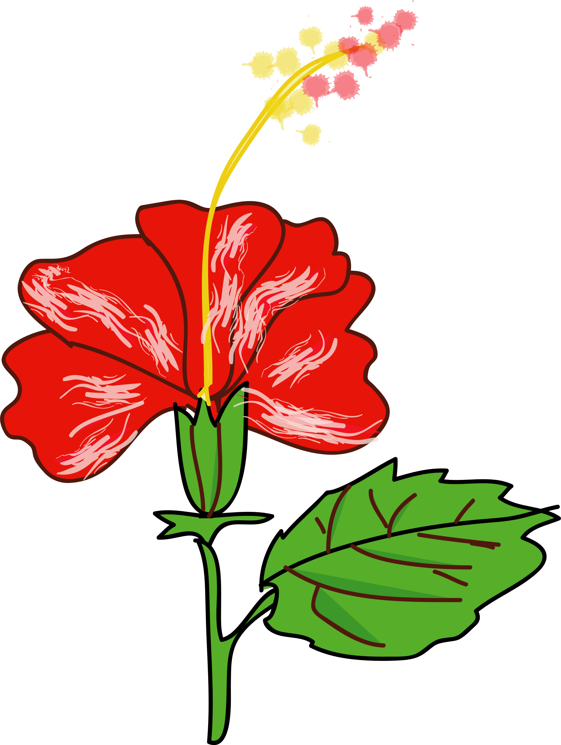 This Free Icons Png Design Of Flower Hibiscus (1806x2400), Png Download