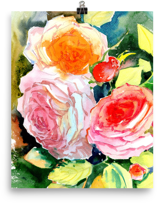 Bright And Floral Rose Watercolour Print Matte Poster - Watercolor Painting (1000x1000), Png Download
