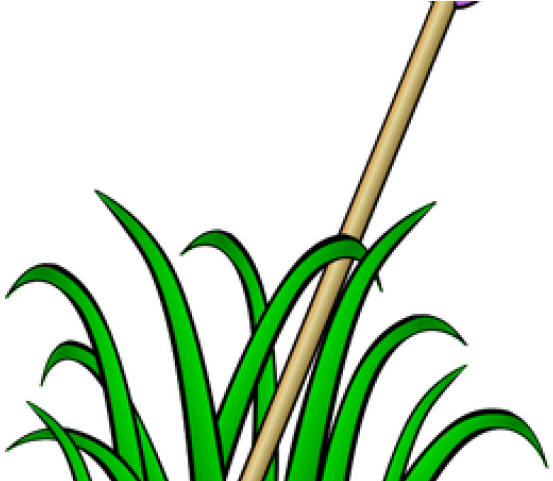 Grass Clip Art (640x480), Png Download