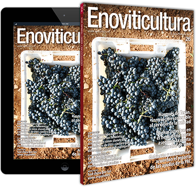 Enoviticultura - Gravel (400x383), Png Download