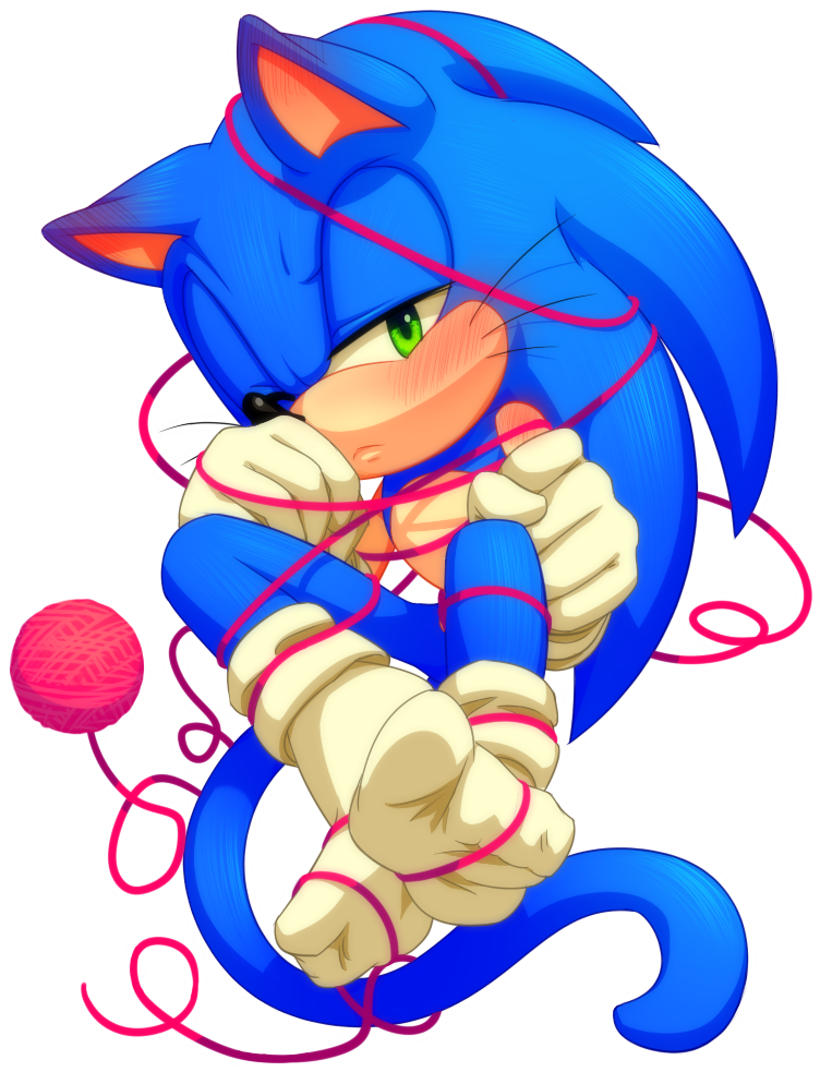 Sonic And Shadow Are My Favorite Characters Of All - Sonic Gato (823x1091), Png Download