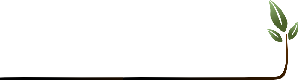 Plant-underline - Transparent Underline (1000x270), Png Download