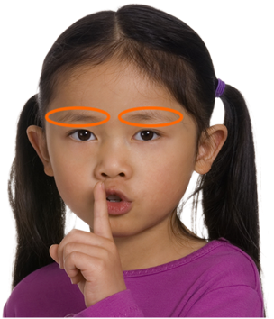 Eyebrows - Eye (445x355), Png Download