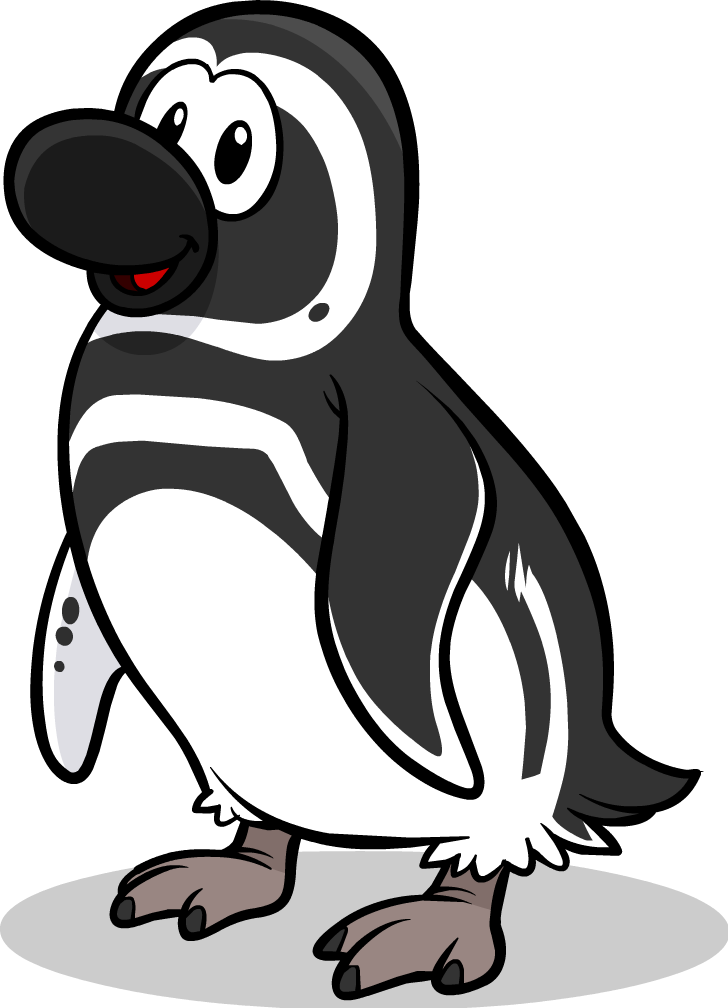 Magellanic Penguin - Club Penguin Black Footed Penguin (728x1008), Png Download