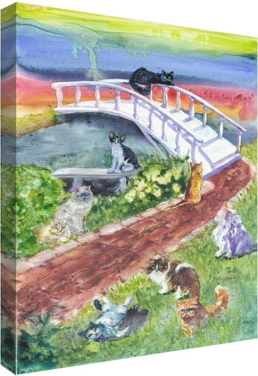 Rainbow Card Company Sc196ct 1 (686x900), Png Download