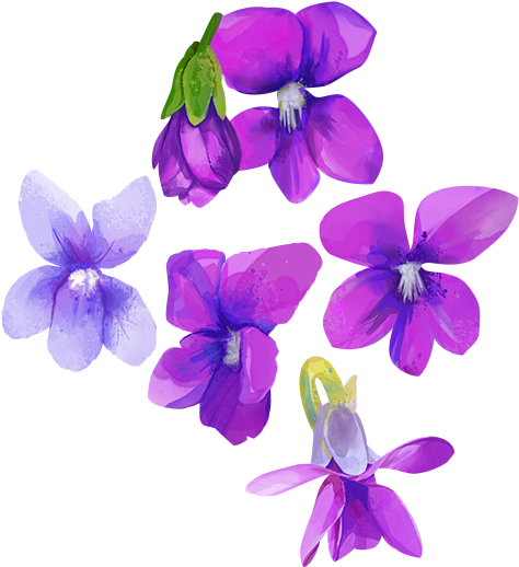 Go To Image - Watercolor Purple Flower Transparent (600x607), Png Download