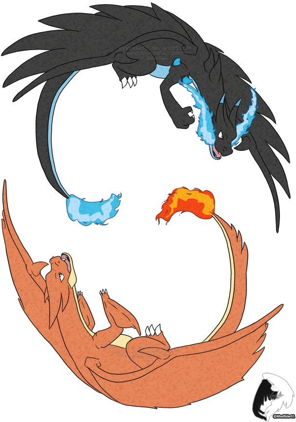 Mega Charizard X And Y By Windrider01 On Deviantart - Charizard - Free ...