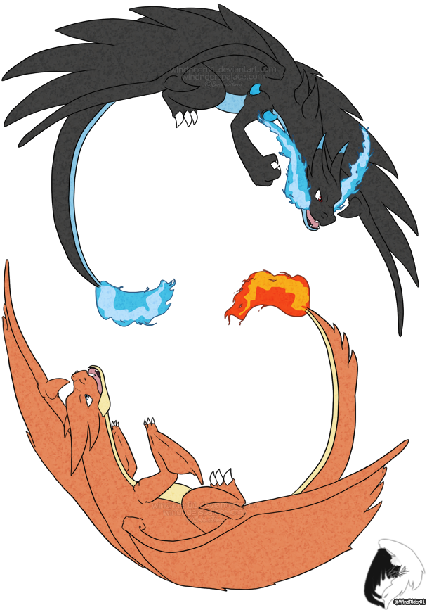 Mega Charizard X And Y By Windrider01 On Deviantart - Charizard (677x910), Png Download