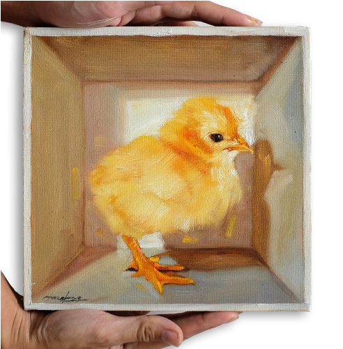 Chick In A Box Ii - Chicken (500x500), Png Download