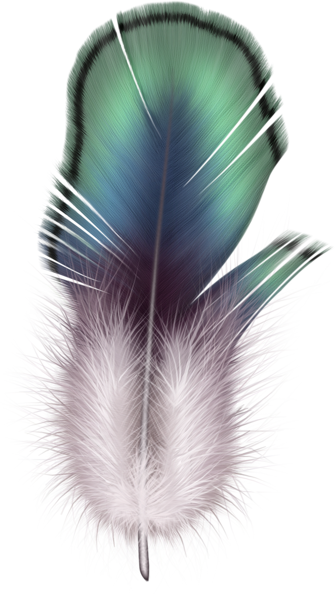 Яндекс - Фотки - Floating Feather Clipart Transparent Background (451x800), Png Download