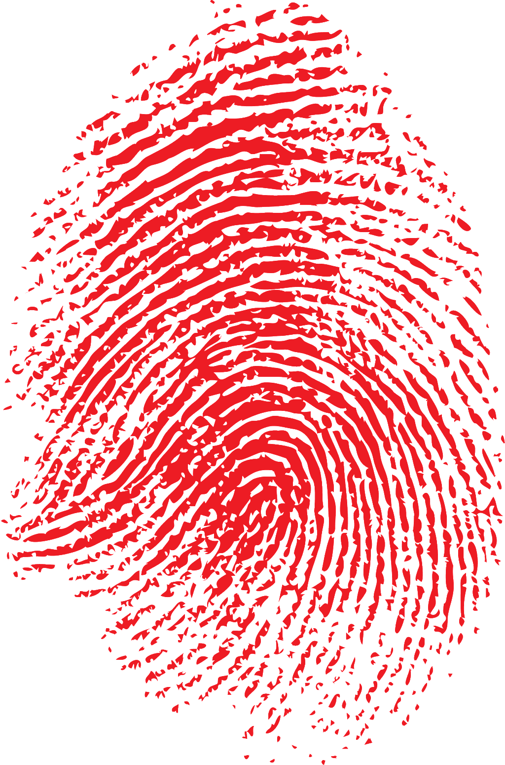 Fingerprint Handprint Transparent Source File - Fingerprint (1024x1549), Png Download