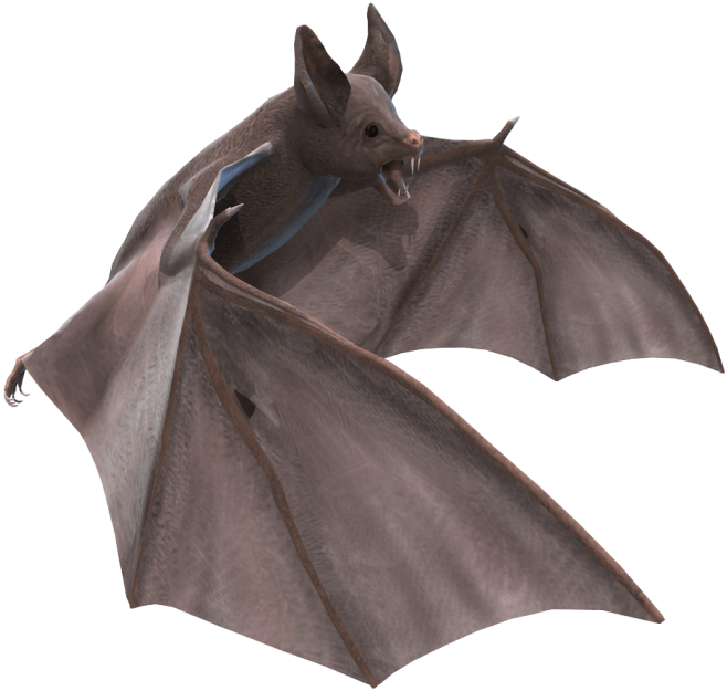 Vectors - Bat Png (850x656), Png Download