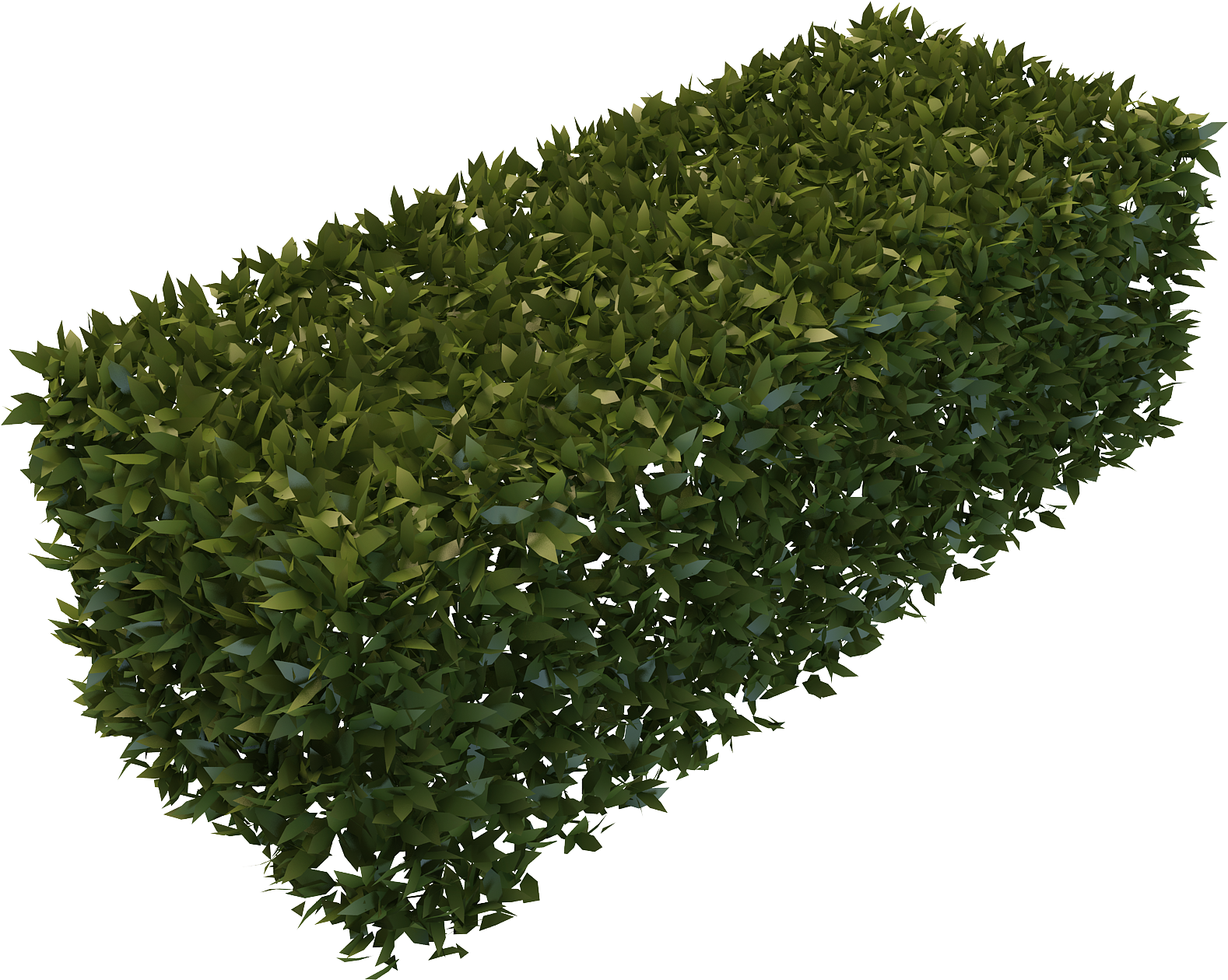 Background Transparent Hedges Free - Hedge Transparent Background (2000x2000), Png Download