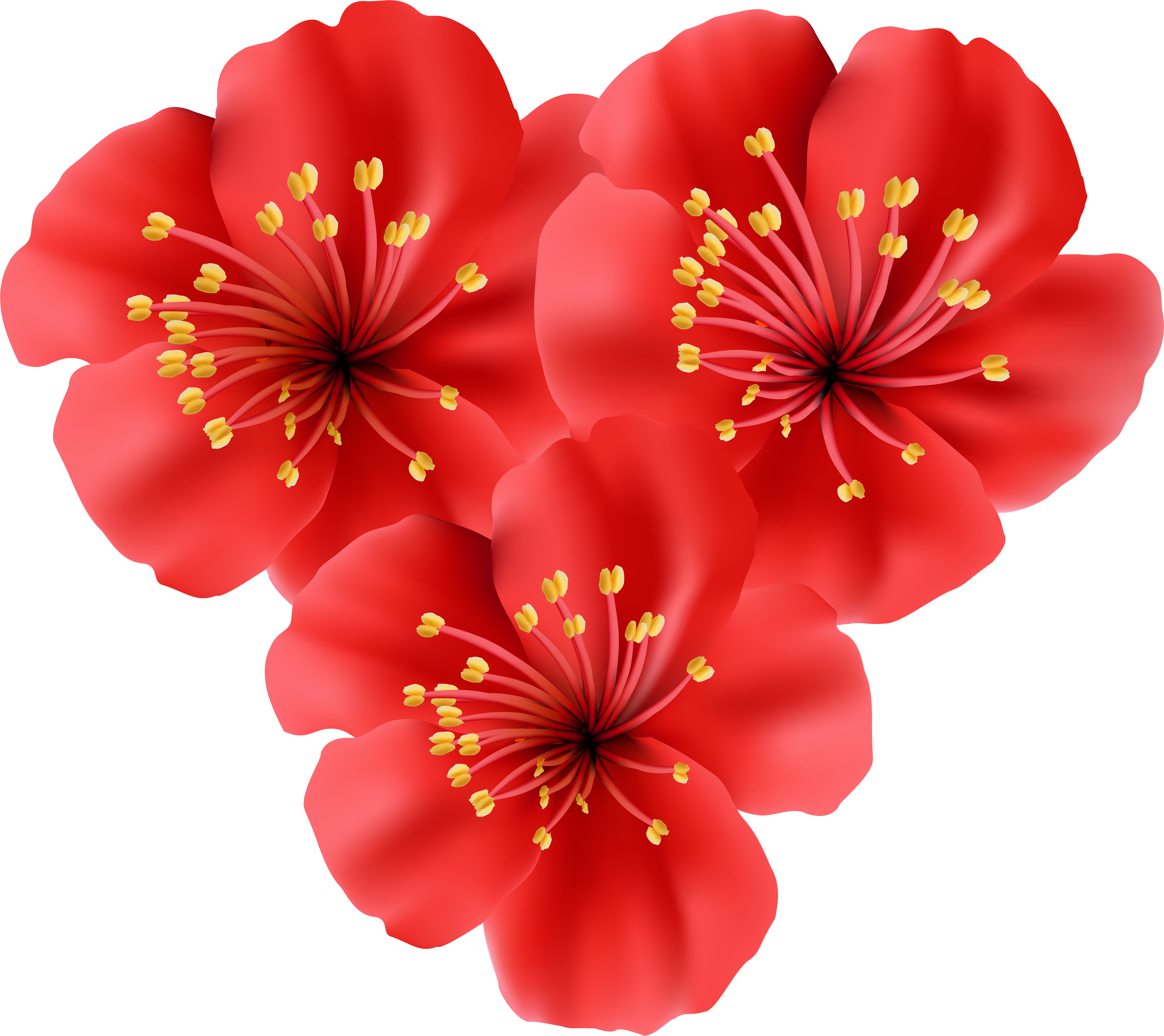 Clip Transparent Heart Png Clip Art Image Gallery Yopriceville - Tropical Flower Transparent Background (7000x6230), Png Download