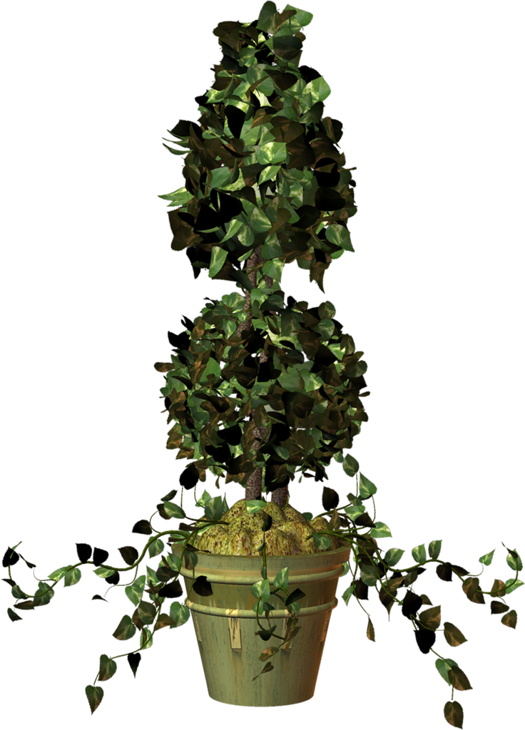 Pot Plant Clipart Ivy Plant - Clip Art (736x1024), Png Download