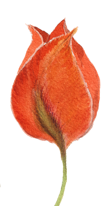 Click And Drag To Re-position The Image, If Desired - Watercolor Painting (350x700), Png Download