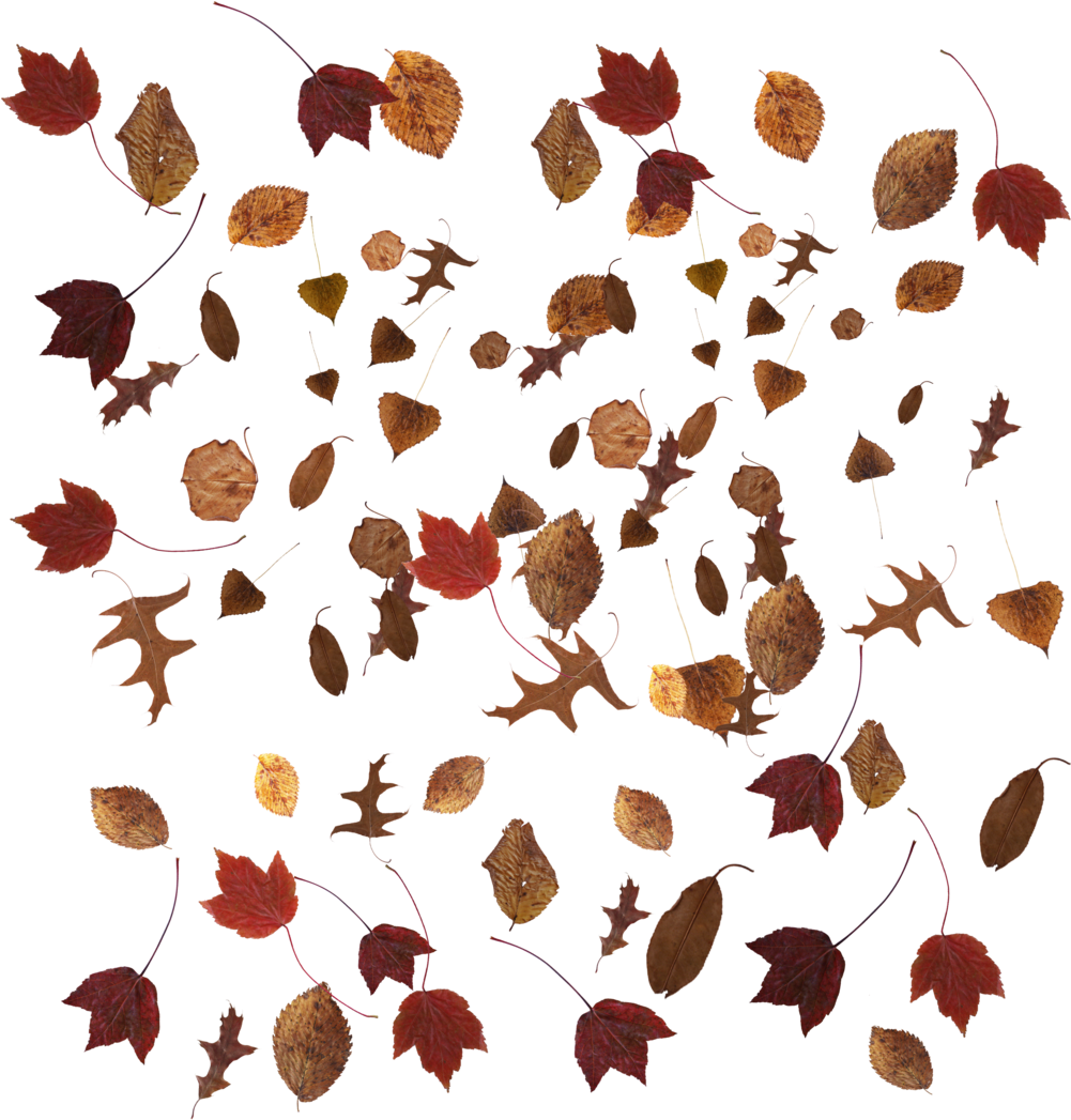 Then Right Click And Save To Your Hard Drive (1000x1071), Png Download