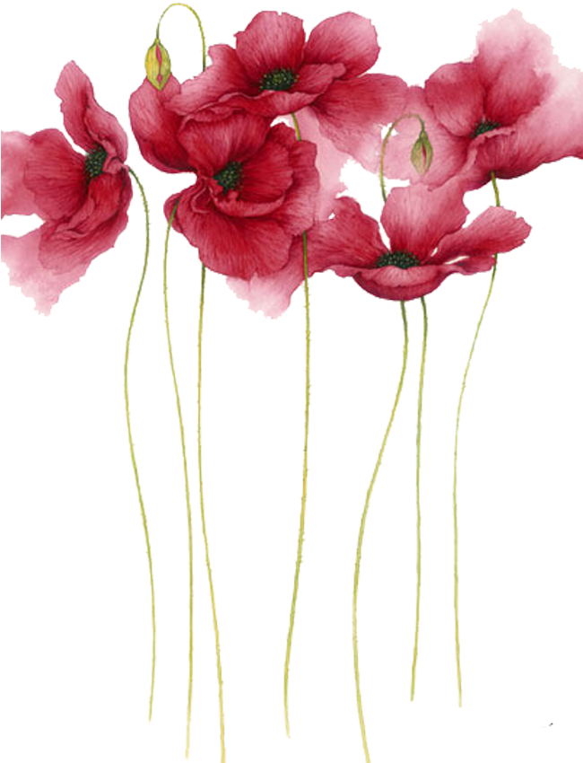Watercolor Painting Flower Drawing Art - Flower Watercolor Painting (1000x1000), Png Download