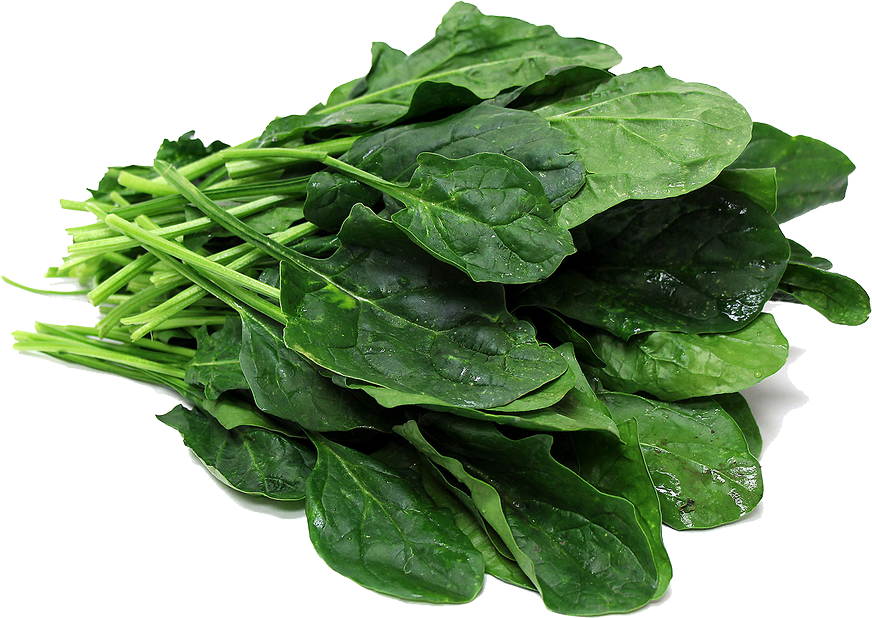Free Download Free Png File Peoplepng Com - Spinach Png (872x618), Png Download