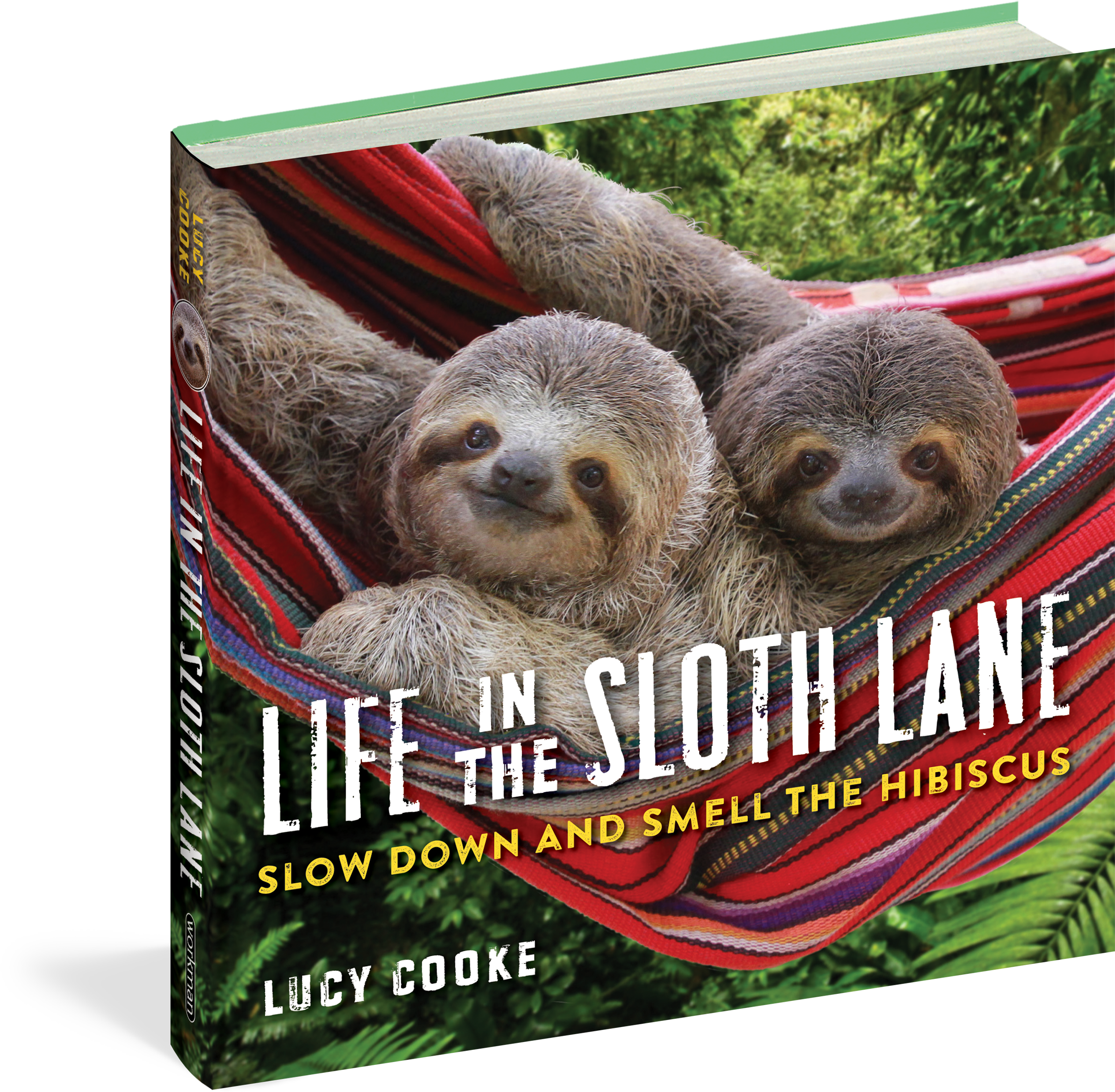 Life In The Sloth Lane - Life In The Sloth Lane: Slow Down (2550x2400), Png Download