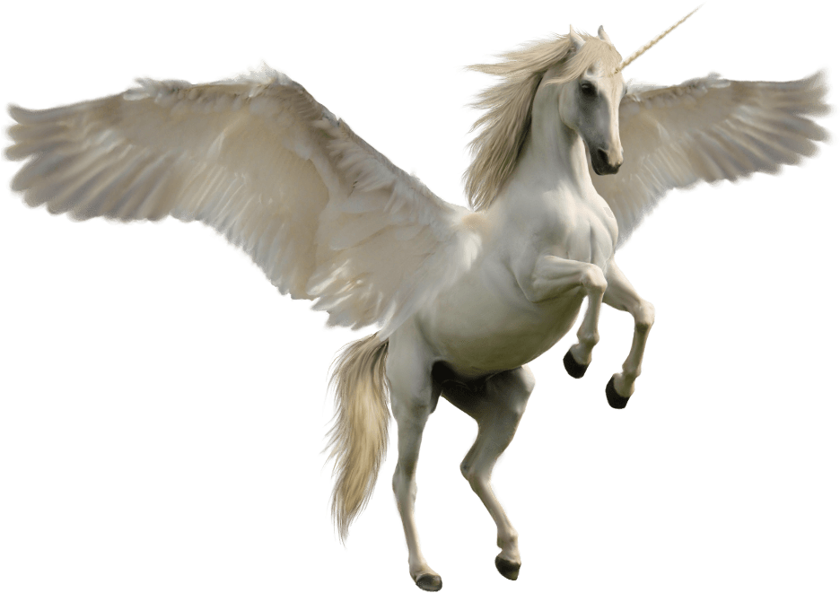 Fantasy - Unicorn Png (1000x700), Png Download