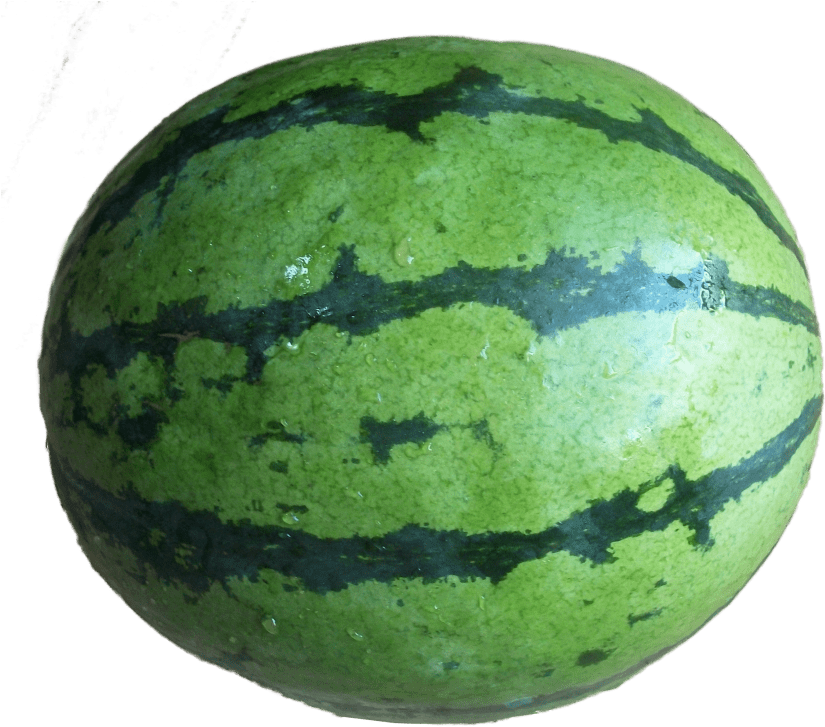 Free Png Water Lemon Full Png Images Transparent - Transparent Watermelon Full (850x751), Png Download