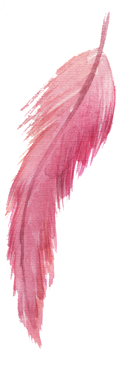 Red Feather Png Element - Portable Network Graphics (1024x1314), Png Download