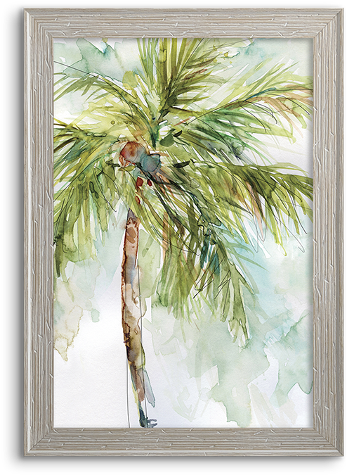 Coconut Palm - Palm Trees (800x800), Png Download