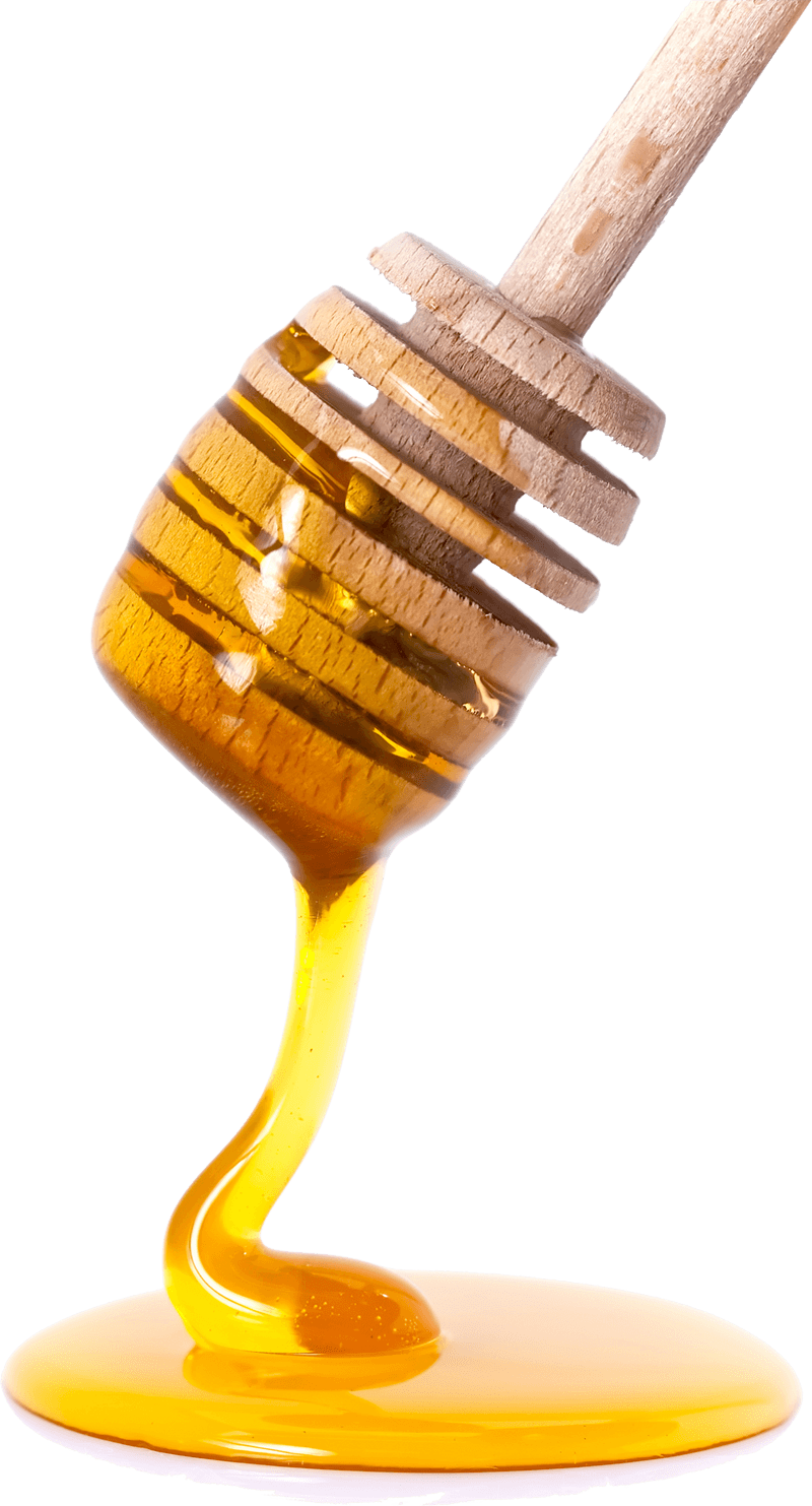 Food - Honey - Transparent Background Honey Png (800x1483), Png Download