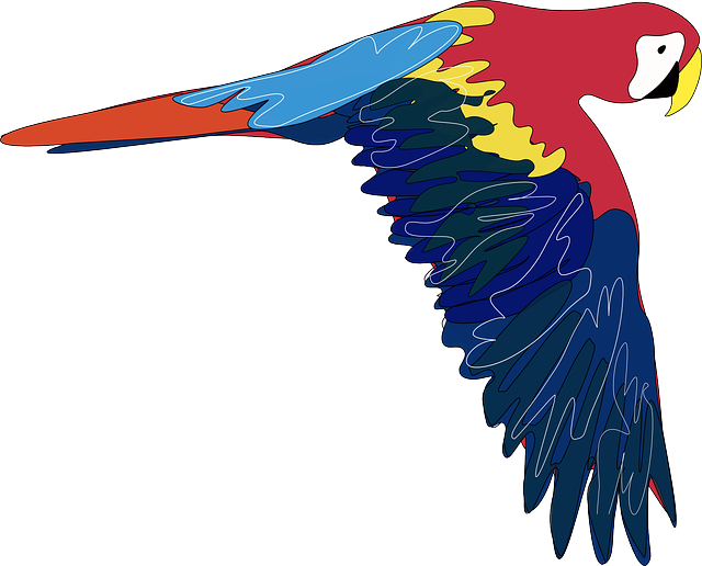 Original Png Clip Art File Parrot Svg Images Downloading (600x484), Png Download