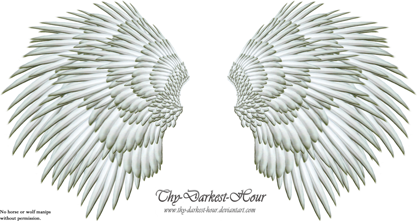 More Like Angel Wings Png 06 By Thy Darkest Hour - Angel (1600x848), Png Download