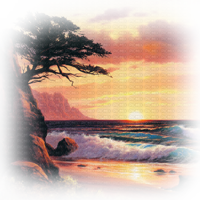 Loly33 Summer Beach - Coucher De Soleil Plage Fond Transparent (400x400), Png Download