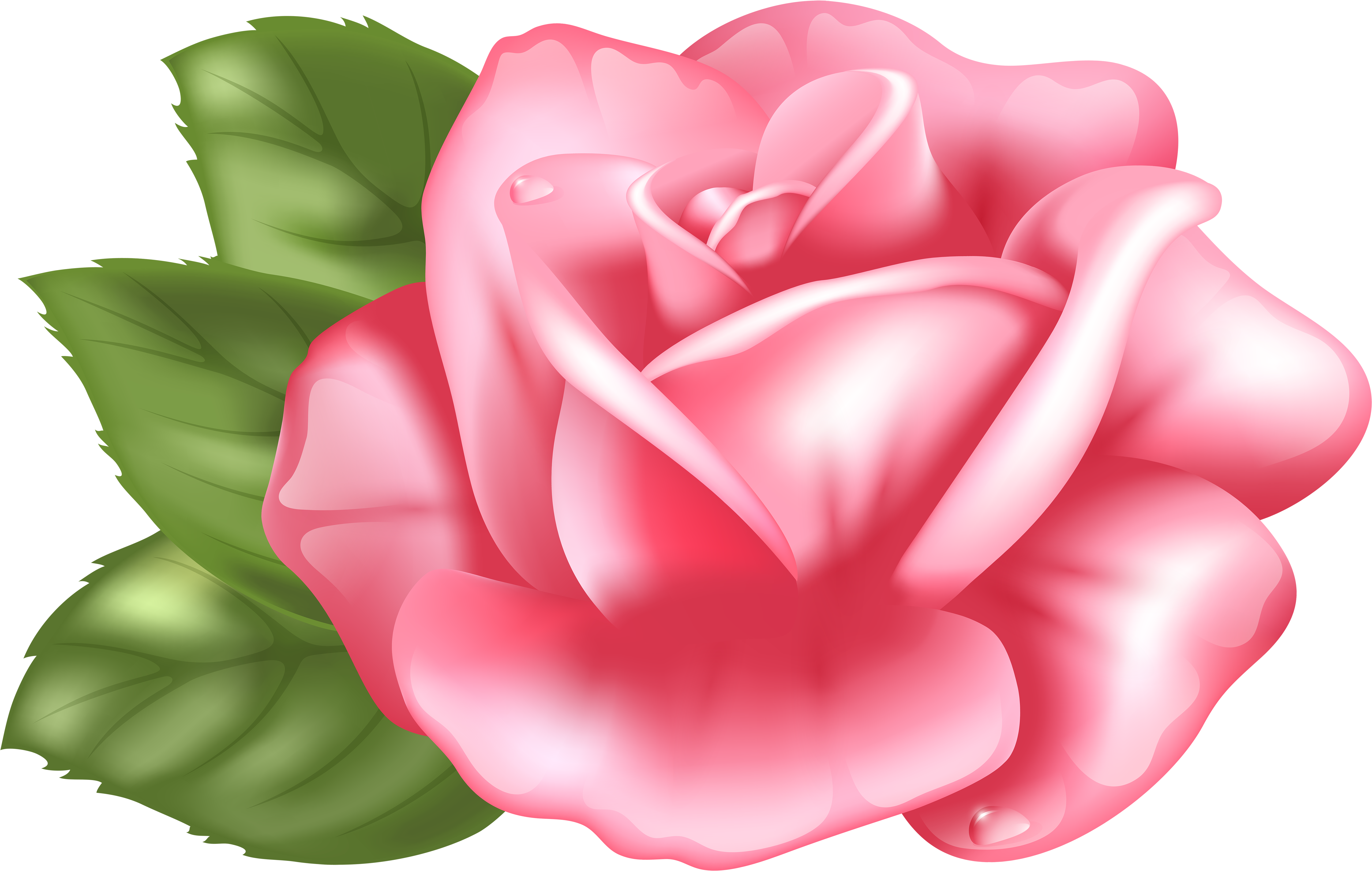 Pink Rose Transparent Png Clip Art Imageu200b Gallery (6000x3868), Png Download