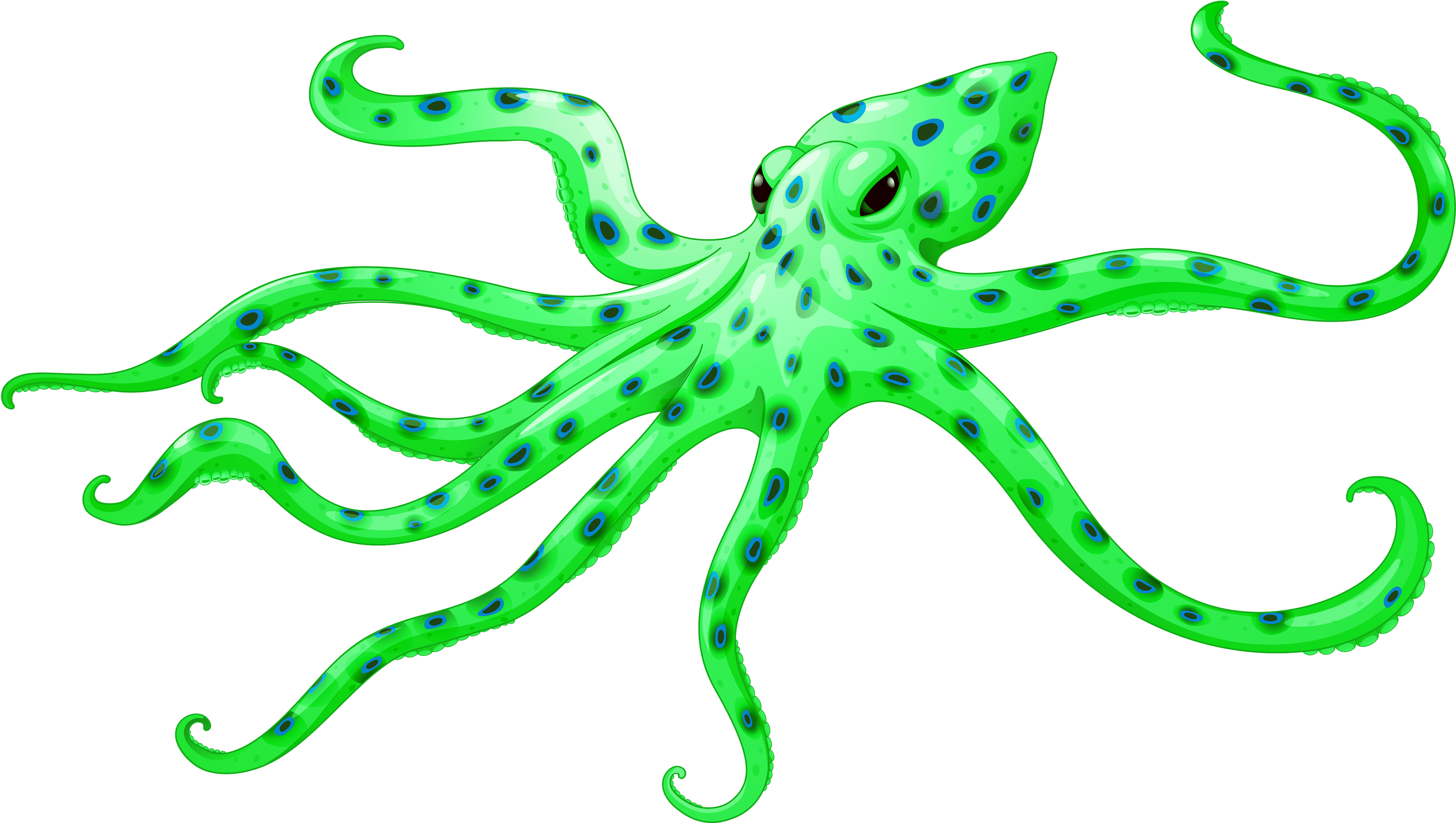 Green Octopus Png Clipart - Blue Ring Octopus Illustration (4000x2280), Png Download