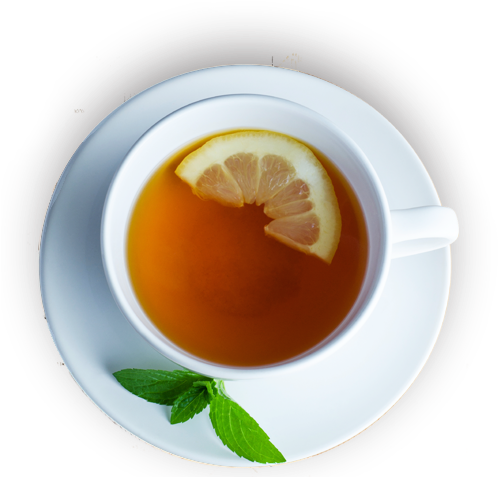 Download - Tea Cup Top Png (517x482), Png Download