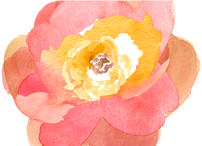 Best Wild Flowers - Watercolor Orange Flowers Clip Art (450x300), Png Download