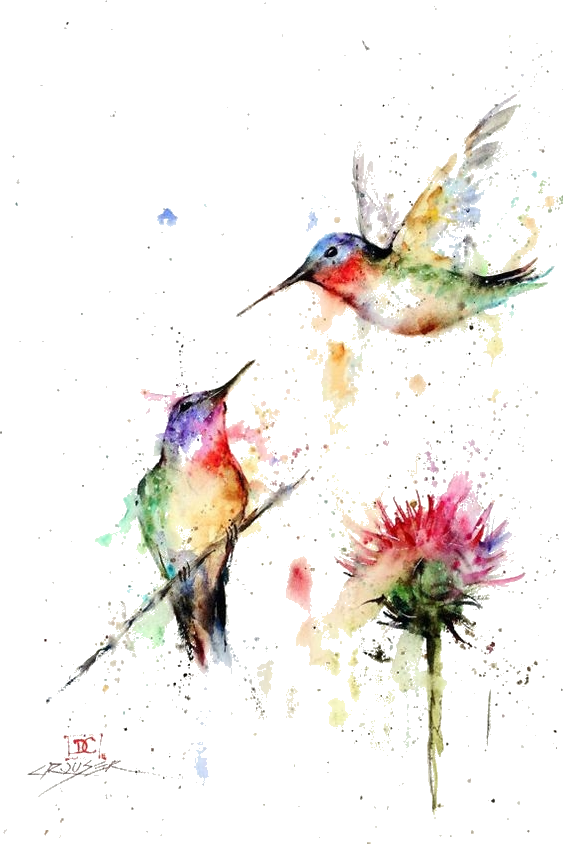 Dean Crouser Hummingbird (563x844), Png Download