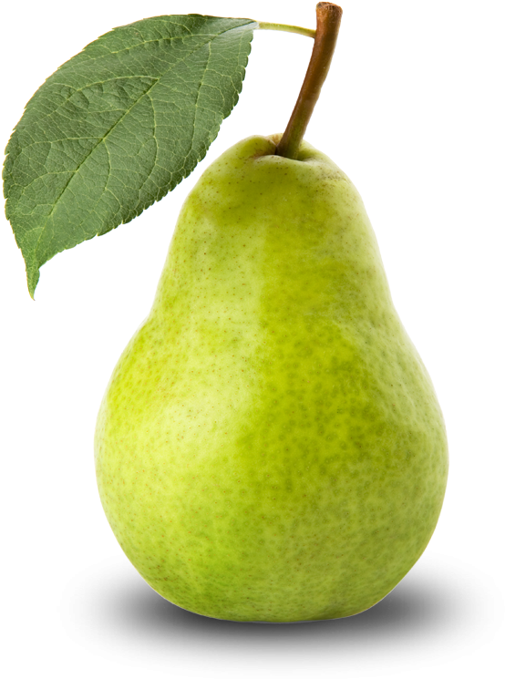 Free Icons Png - Chikorita Is A Pear (744x744), Png Download