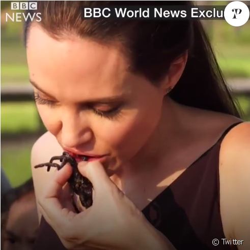 Angelina Jolie Cuisinant Des Insectes Au Cambodge Avec - Angelina Jolie Mangia Ragni (950x491), Png Download