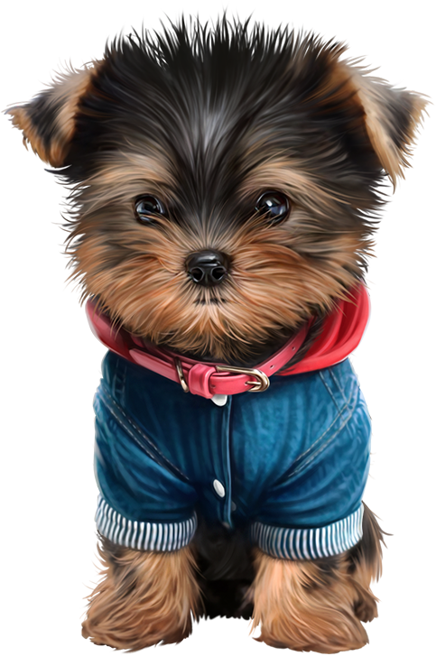 Wild Animals - Chiens Puppy Png (483x727), Png Download