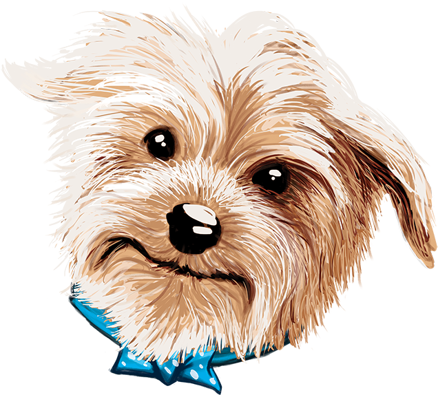 Doggy Drawing Yorkie Png Freeuse Library - Companion Dog (700x990), Png Download