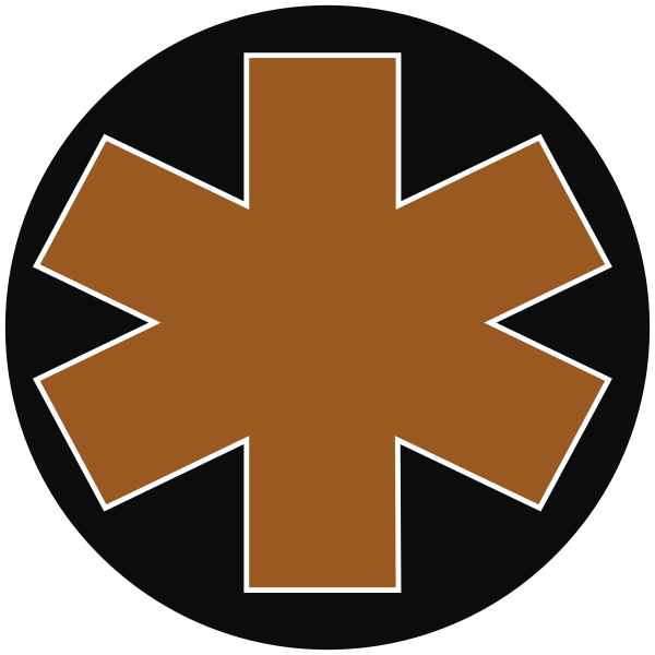 Star Of Life (600x600), Png Download