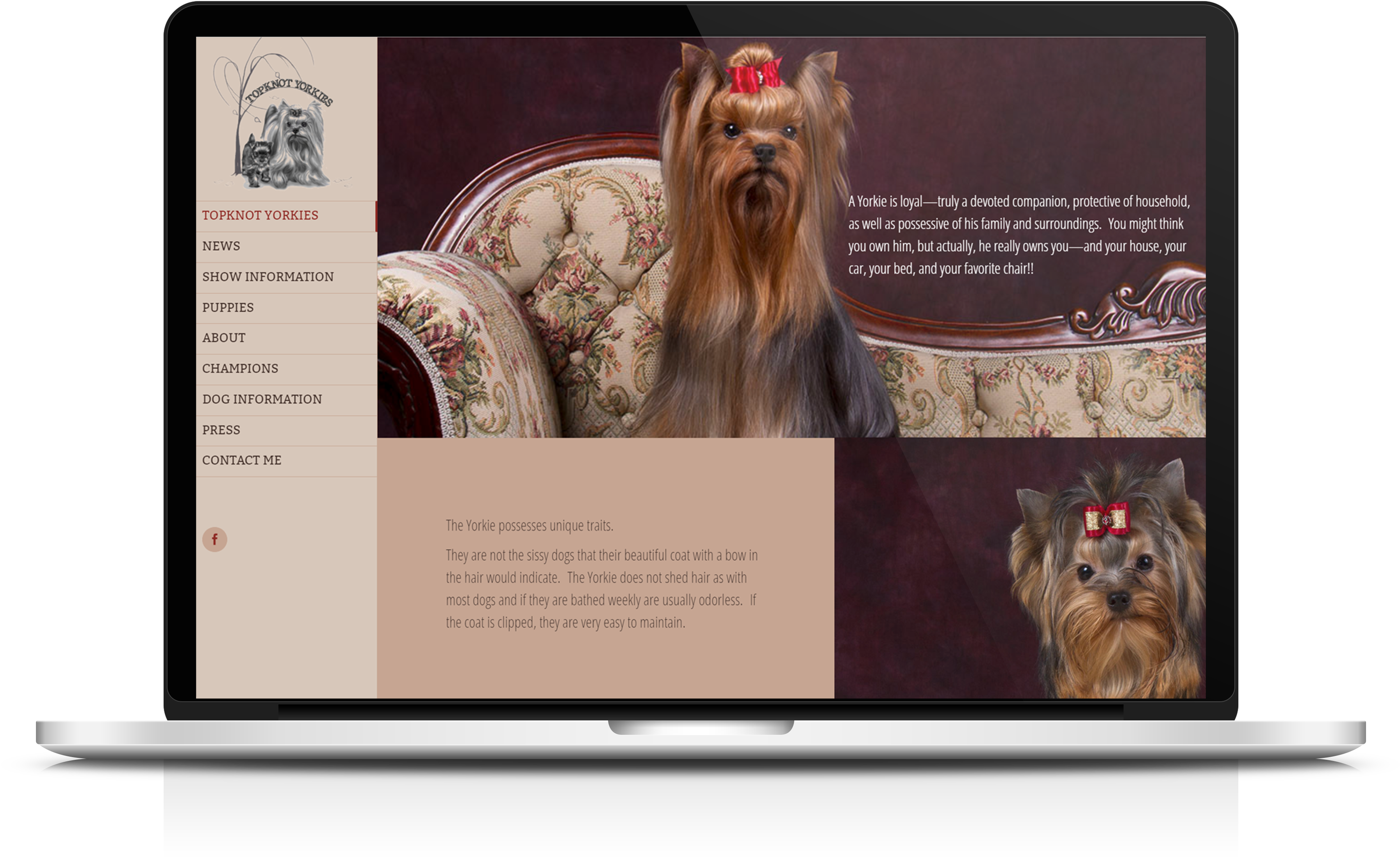 Website Design & Development For Topknot Yorkies - Web Design (4000x2970), Png Download