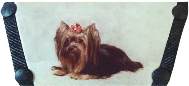 Yorkshire Terrier (630x286), Png Download