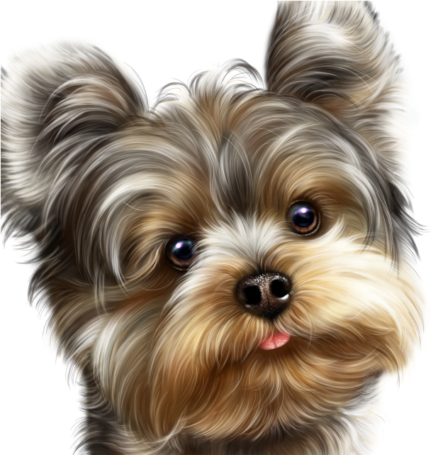 Fairy Yorkie And Butterflies 15 - Dog (640x640), Png Download