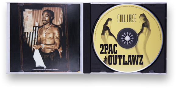 Badge (600x600), Png Download