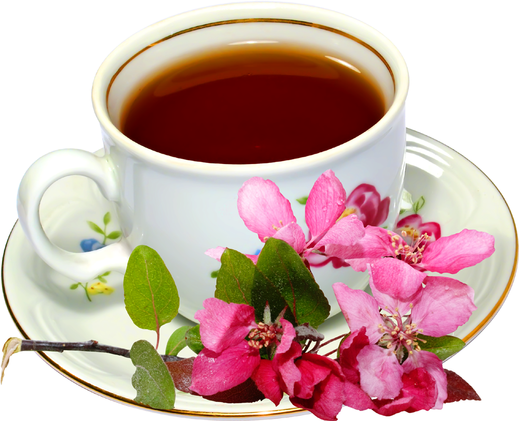 Green Tea Cup With Flower - Flowering Tea (1280x921), Png Download